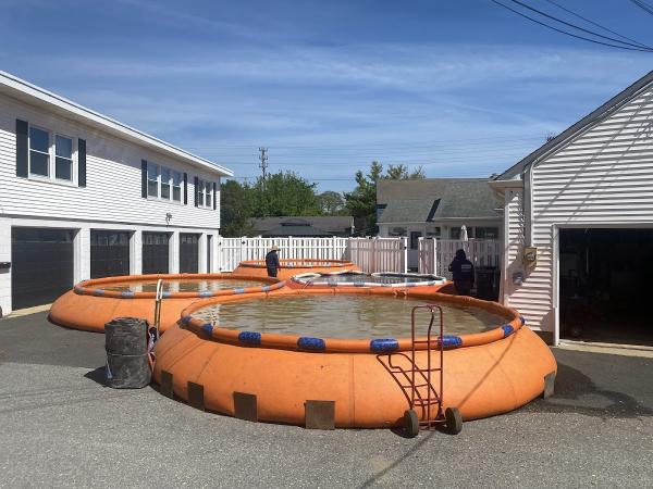 Mid State Pool Liners