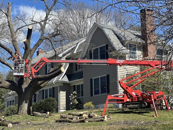Knock on Wood Tree Service LLC