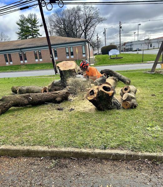 Knock on Wood Tree Service LLC