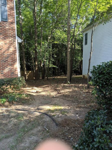 BG Tree Service