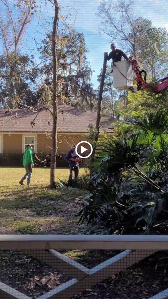 Mac's Tree Service (Macs Tree Incorporated)