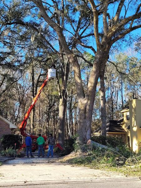 Mac's Tree Service (Macs Tree Incorporated)