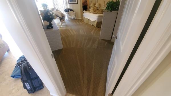 Black Diamond Carpet Cleaning