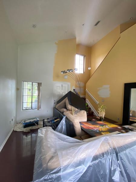 Florida Painting Solutions Llc