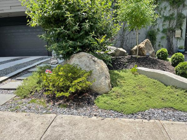 Walt's Landscaping & Lighting