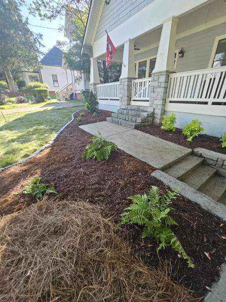 Walt's Landscaping & Lighting