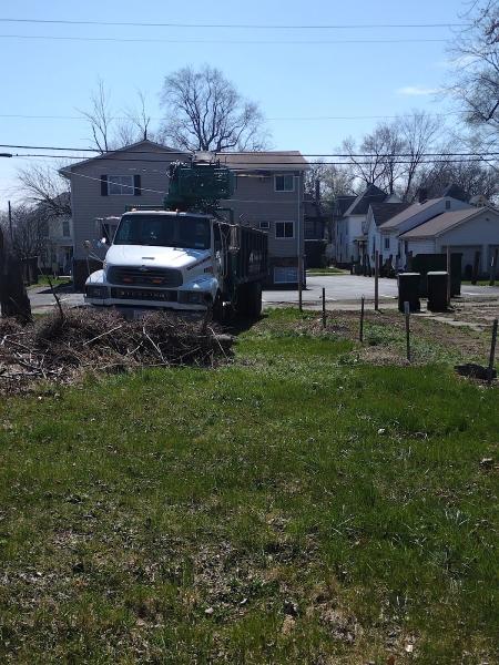 A-1 Tree Care