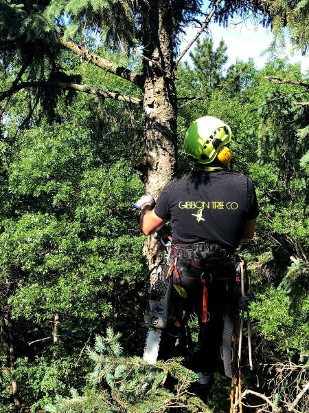 Gibbon Tree Service