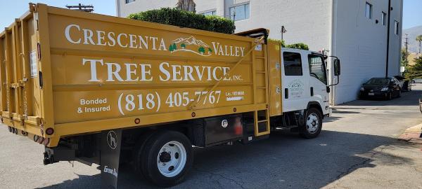 Crescenta Valley Tree Service