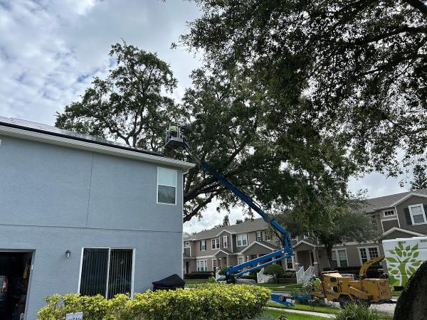 Mid Florida Tree Care