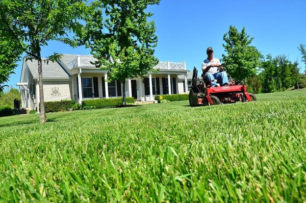 Auburn Landscaping Pros