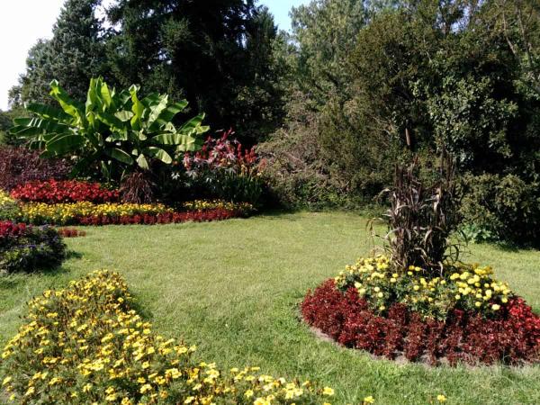 Auburn Landscaping Pros