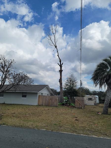 Ninja Tree Care & Service LLC