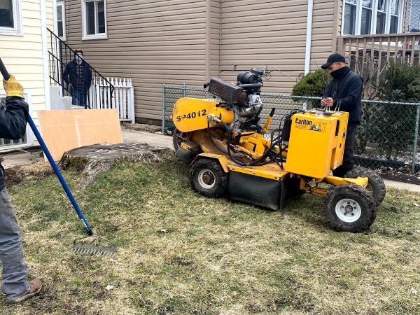 Jose's Tree Service