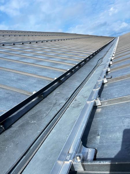 Blue Buffalo Roofing