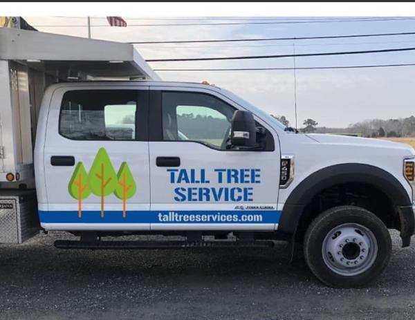 Tall Tree Service