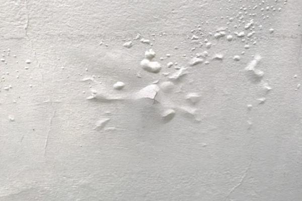 Mold Inspections Only Pensacola