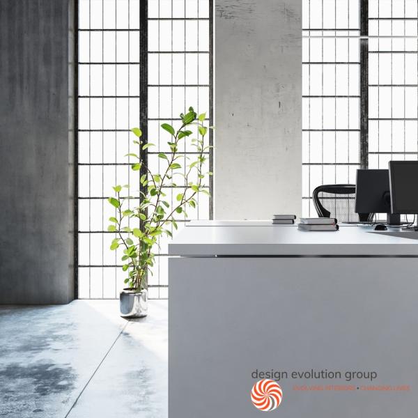 Design Evolution Group