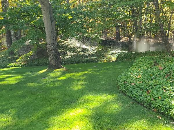 New Roch Irrigation