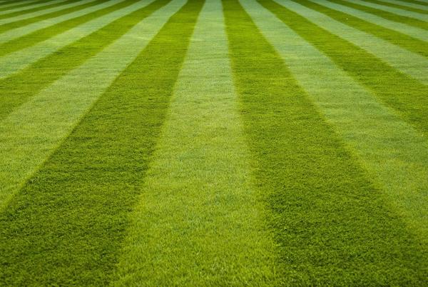 Martz Bros. Lawn and Tree Care
