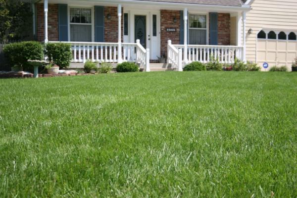 Martz Bros. Lawn and Tree Care