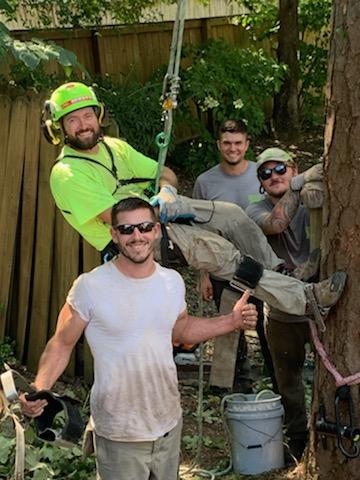 Urban Jacks Tree Service