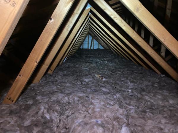 Attic Doctor