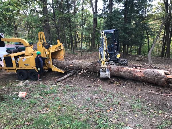 Locust Landscaping & Tree Service