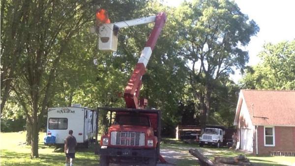 Barber's Tree Service