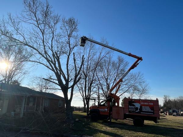Barber's Tree Service