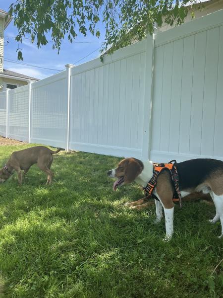 Quality Fence