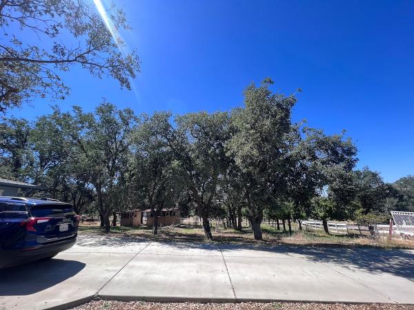 Fuerte Tree Service