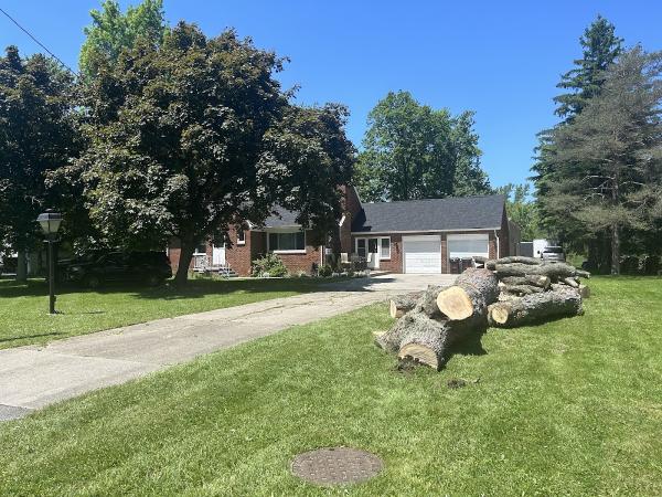Schneck's Tree Removal Inc.