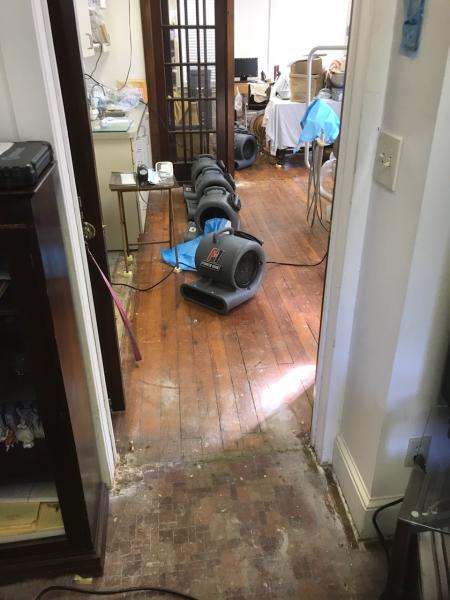 Dry Master Restorations
