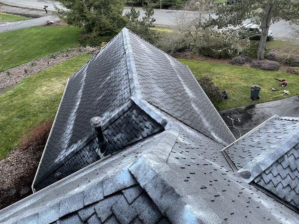 Fenix Roof Service