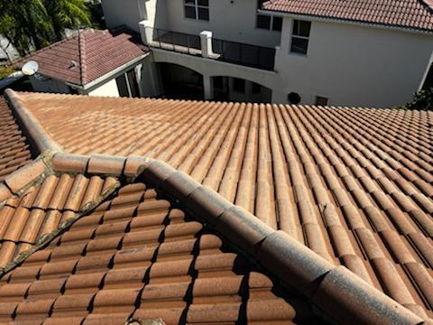 Dedicated Home Services