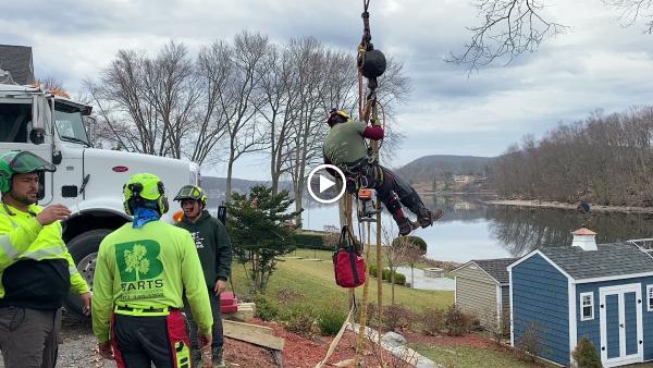 Barts Tree Service