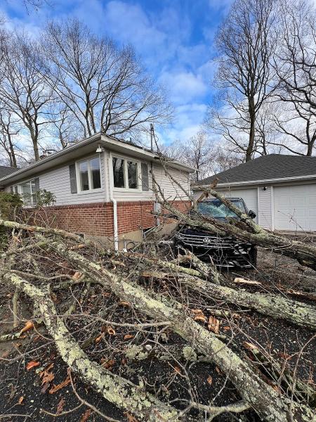 Barts Tree Service