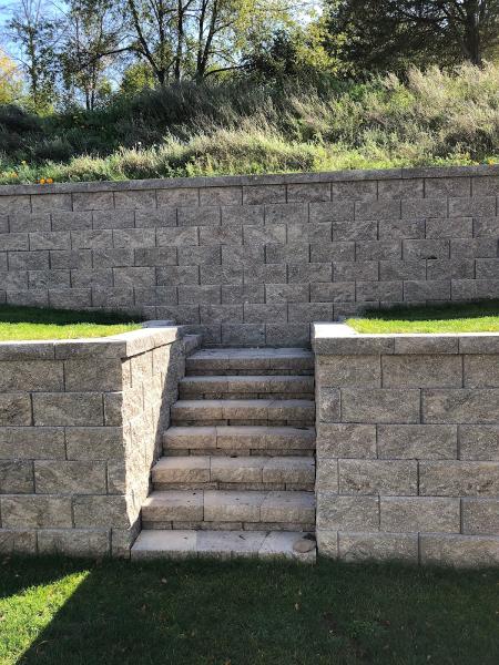 LSI Landscape Specialists Inc