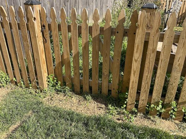 Freedom Fence and Deck