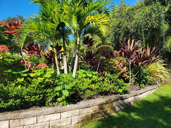 Mednick Landscape Co.