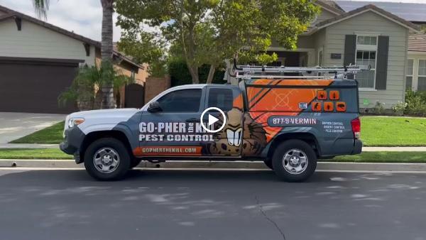 Go-Pher the Kill Pest Control Riverside