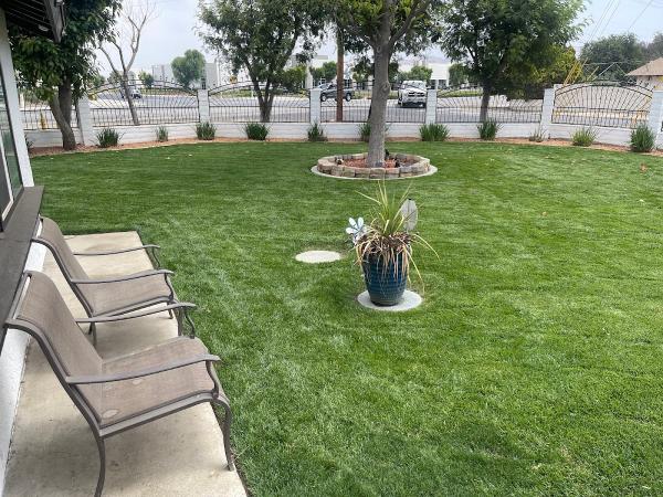 Go-Pher the Kill Pest Control Riverside