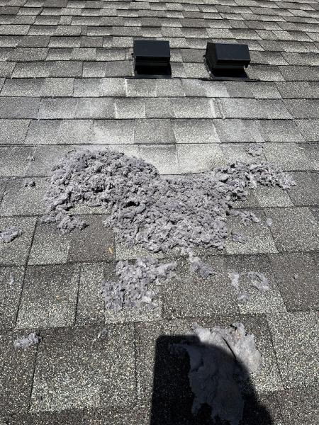 AAA Cleaning Services INC