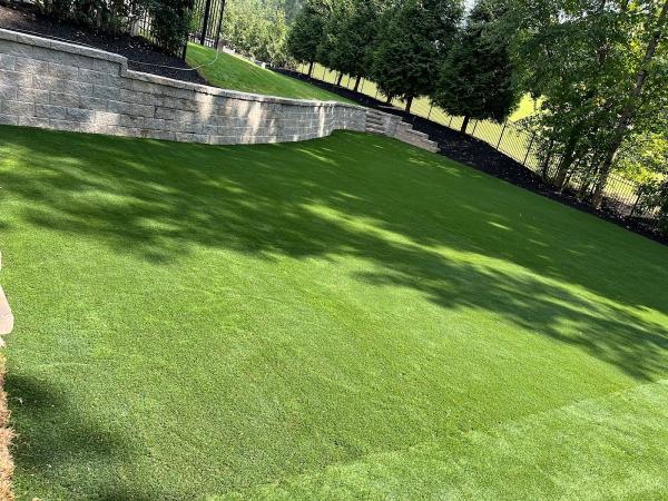 Atlas Tree Services LLC