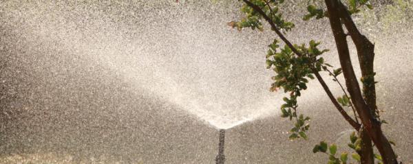 Nearby Sprinklers