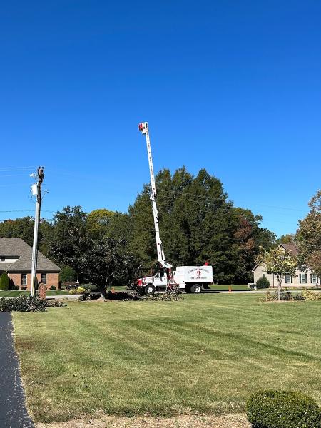 Southern Tree Care