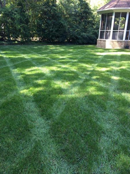 C & T Lawn & Landscape
