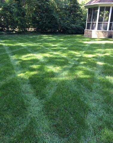C & T Lawn & Landscape