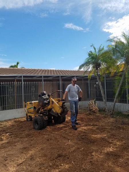 MF Stump Grinding